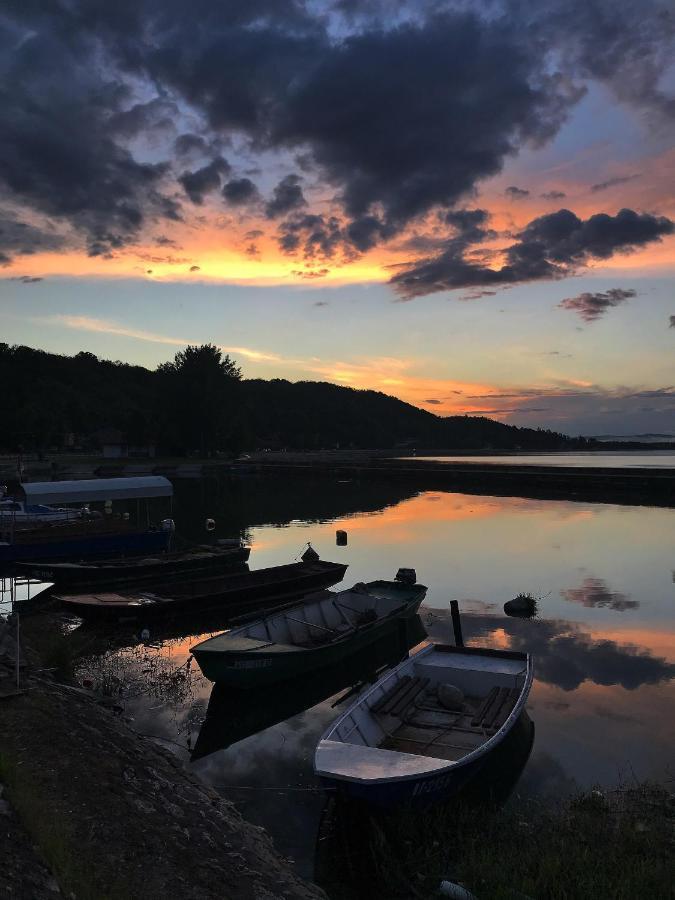 Appartement Soba Milojkovic à Golubac Extérieur photo